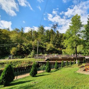 Hotel Codru Moma, Moneasa